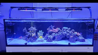 Innovative Marine NUVO 200 EXT Build  12 months [upl. by Jacquenetta]