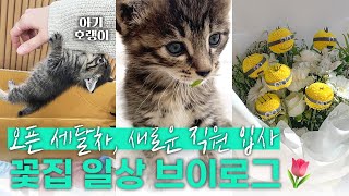 Vlog 꽃집 1인샵 사장 브이로그  수원 광교 아주대 꽃집  자동차엔진에서 줍줍한 아기고양이 임시보호 미니언즈 꽃다발 매장 앞 조화꾸미기비용 미니바구니 만들기 [upl. by Gilbertina779]