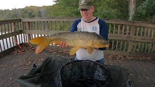 Fall Carp Fishing Family Picnic  Carp amp Catfishing Tips for bank fishing [upl. by Alag]