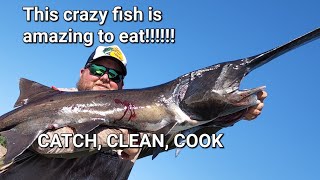 Bowfishing PADDLEFISH Catch Clean Cook on the Missouri River in Nebraska and South Dakota tacos [upl. by Oiracam]