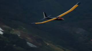 Learning to fly RC Sailplanes [upl. by Milde]