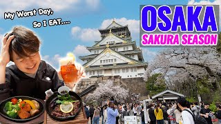 Its My Worst Day So I Eat Nice Foods Osaka Full Bloomed Sakura and Not Crowded Local Arcade Ep479 [upl. by Kurzawa]