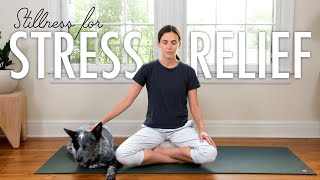 Stillness For Stress Relief  15Minute Meditation  Yoga With Adriene [upl. by Innej]