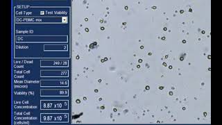 Cellometer Auto T4 Bright Field Cell Counter source Nexcelom Bioscience [upl. by Nevada]