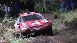 Rallye des Cimes 2011  The Brits [upl. by Ahsenak725]