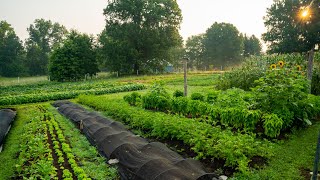 Regenerative Agriculture on a Small Scale  What it Looks Like [upl. by Rankin]