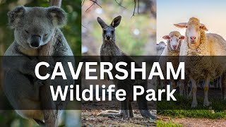 🇦🇺Caversham Wildlife Park Perth Australia [upl. by Adali]