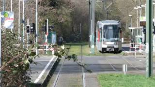 Rheinbahn NF6 am Düsseldorf Uni OstBotanischer Garten [upl. by Tsugua]