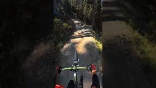 bikelife mtb downhill bikepark leogang viralshort [upl. by Mcnamee963]