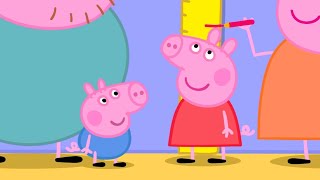 ¿Cuánto mide Peppa  Peppa Pig en Español Episodios Completos [upl. by Elletnohs]