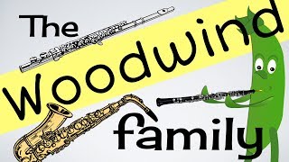 Woodwind Instruments for kids INSTs 3  Flute  Clarinet  Sax amp more  Green Beans Music [upl. by Lenee916]