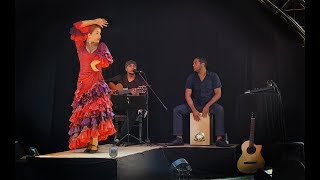 Amanecer Tablao Flamenco Teaser 2019  Arrinconamela [upl. by Pirali]