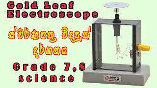 Gold Leaf Electroscope Science Experiment  Grade 7 Science  puduma thksalawa [upl. by Ardnasela]