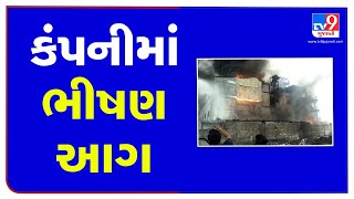 Bharuch Fire breaks out in healthcare company at Panoli GIDC  TV9News [upl. by Anika662]