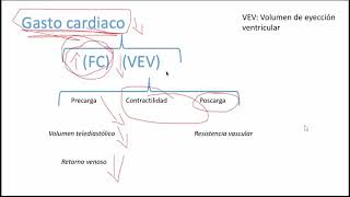 Sistema cardiovascular Hemodinamia Ley de Ohm Poiseuille y presión arterial sistémica Parte 1 [upl. by Deedee]