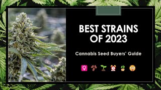 23 Best Strains of 2023 Seed Buyers Guide [upl. by Danae]