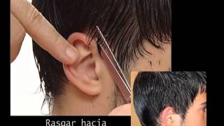 Corte de Pelo Masculino a Tijeras [upl. by Ordnasela443]