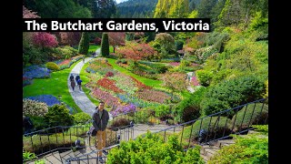 The Butchart Gardens Victoria BC The most beautiful garden in Canada [upl. by Belmonte]