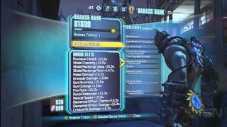 Borderlands 2  Flamerock Refuge Vault Symbols  Assault on Dragon Keep [upl. by Aynotan]