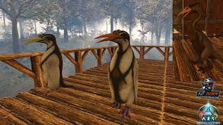 Starting a Polymer Farm and Taming a Hesperornis  Ark Survival Ascended [upl. by Llibyc460]