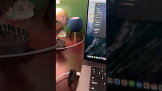 What happens if you plug a Homepod mini into a MacBook Pro [upl. by Corkhill]