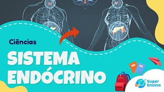 SISTEMA ENDÓCRINO  Hormônios e anatomia  Ciências 5º ano [upl. by Saiasi212]