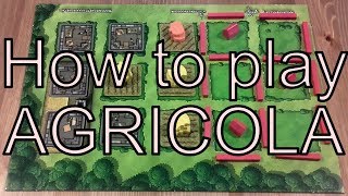 How to play Agricola [upl. by Aminta26]