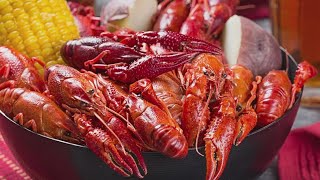 Prices for crawfish could increase due to arctic freeze [upl. by Dotson]