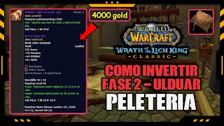 💰 Cómo GANAR ORO con PELETERÍA en WOTLK CLASSIC Fase 2  Invierte ahora en la SUBASTA [upl. by Janet572]