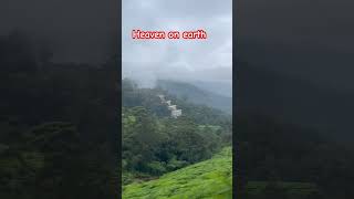 Heaven on earth munnar shortvideo weather life shortsviral traveling kerala [upl. by Jethro]