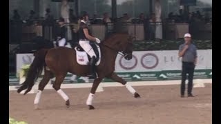 Carl Hester Masterclass Maximizing the Medium Trot in Dressage [upl. by Ateiluj709]