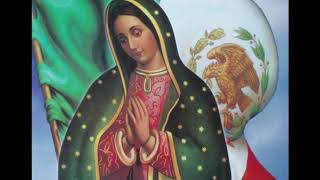 VIVA LA VIRGEN DE GUADALUPEMariachi Sol de America de El salvador [upl. by Airtemak907]