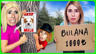 EKİPLE BİRLİKTE KÖPEĞİM MELO KAÇIRILDI DİLA KENT [upl. by Melly]