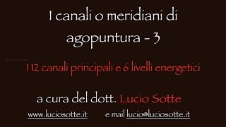 I canali o meridiani di agopuntura 3 I 12 canali principali e 6 livelli energetici [upl. by Eecyak]