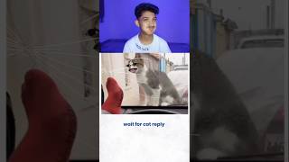 Try Not to Laugh Challenge 91🤣 funny shorts viral [upl. by Yraek]