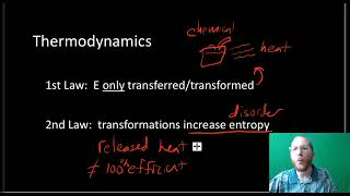 AP Bio Enzymes and Metabolism  Part 1 [upl. by Rossy565]