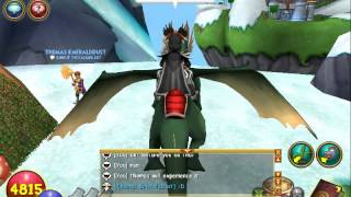 Wizard101 How to do the Walk through Walls Glitch [upl. by Adniroc]