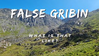 False Gribin What is that like [upl. by Enened]