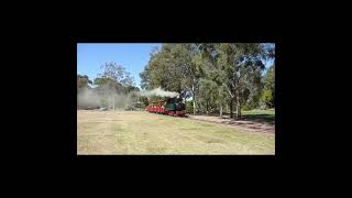 Australian Sugar Cane Railway Bundaberg Queensland shorts heritagerailway narrowgauge lightrail [upl. by Felicdad90]