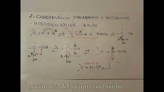 Reacciones del grupo carbonilo química Orgánica UMSA LA MEJOR [upl. by Adroj]