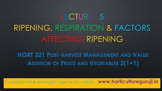 HORT321  Lecture 5 Ripening Respiration amp Factors affecting ripening [upl. by Conrad]