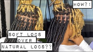 Soft Locs over Natural Locs  Beginner Friendly  Best Tutorial  Extended Soft Locs [upl. by Cozmo]