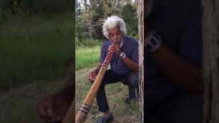 Didgeridoo Sound Healing [upl. by Jacobo268]