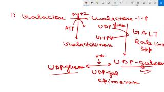 GALACTOSE METABOLISM AND GALACTOSEMIA [upl. by Parik577]