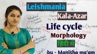 Leishmania Donovani  life cycle  Morphology  Parasitology By Manisha Maam [upl. by Naget]