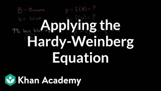 Applying the HardyWeinberg equation  Biomolecules  MCAT  Khan Academy [upl. by Ocramed]