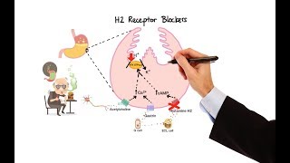 Pharmacology  ANTIHISTAMINES MADE EASY [upl. by Euqirat286]