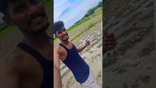 jindabad jawani jindabad kisani khet ropte samay mini vlogs [upl. by Tuhn]