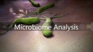 Microbiome Analysis [upl. by Derzon]