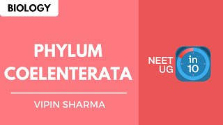 Phylum Coelenterata  NEET Biology  NEET UG in 10 [upl. by Hieronymus]